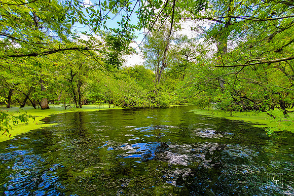Otter Springs - Suwannee River