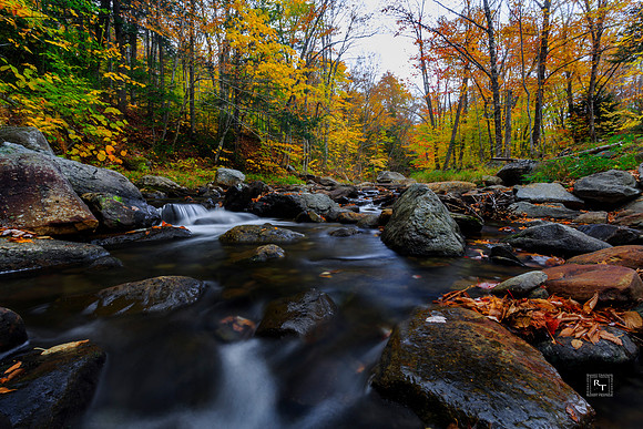 Stream in Maine