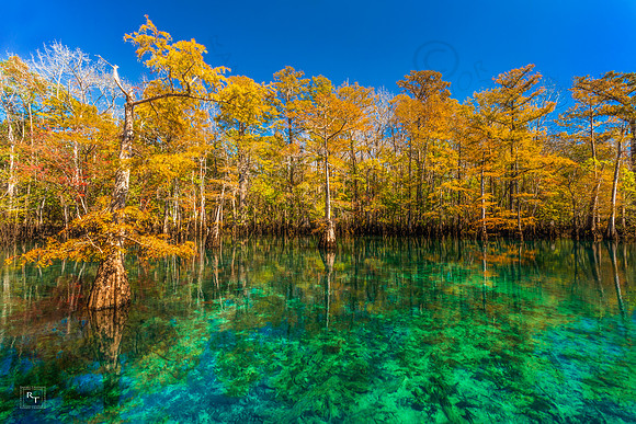 Florida