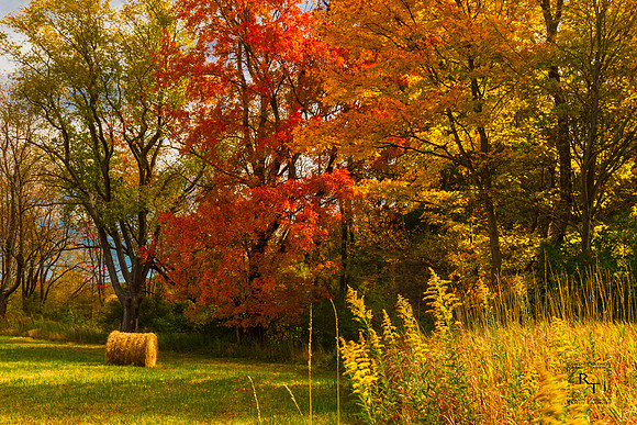 Maryland Countryside