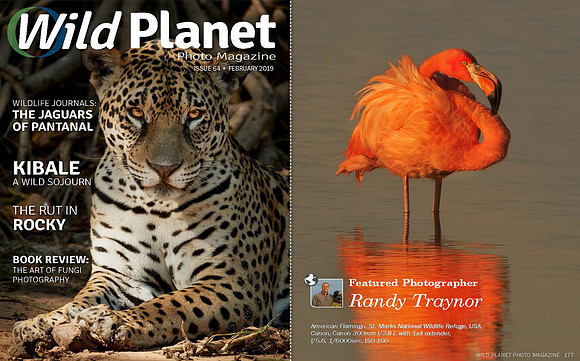 Wild Planet magazine - February 2019