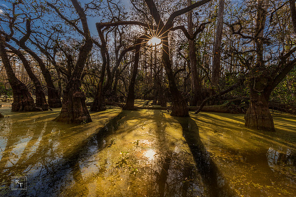 Big Cypress National Preserve
