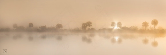 Big Cypress National Preserve - *Contact for price