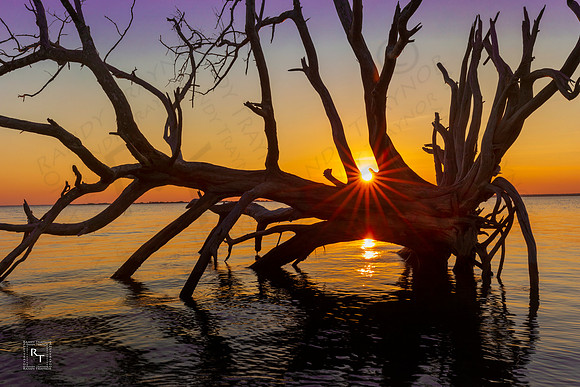 Jekyll Island, Georgia