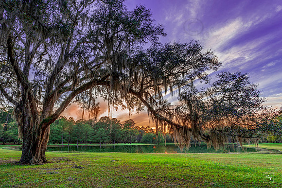 Leon County, Florida