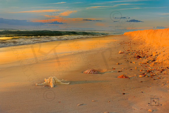 Cape San Blas, Florida