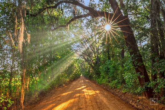 Leon County, Florida