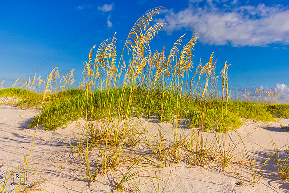St. George Island