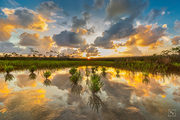 St. Marks National Wildlife Refuge