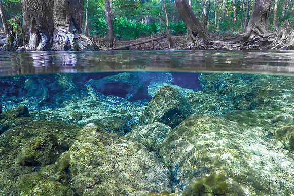 Santa Fe River