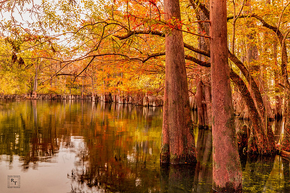 Santa Fe River