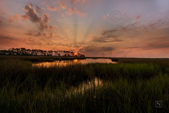 Sunrise - Oyster bay (St. Marks NWR)