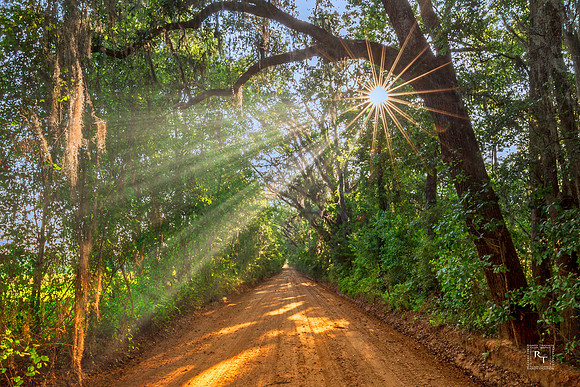 Leon County, Florida
