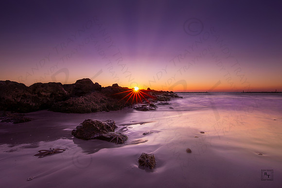 Marco Island, Florida