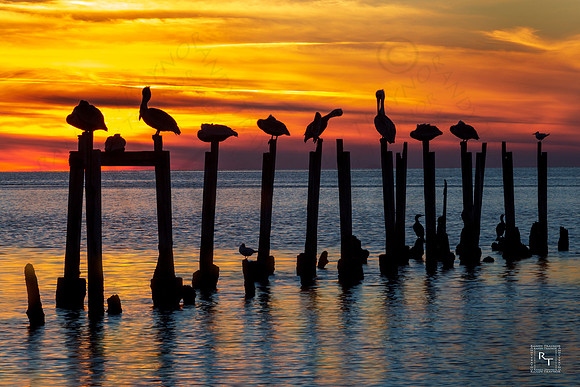 St. Marks National Wildlife Refuge