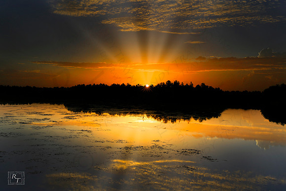Everglades Sunrise