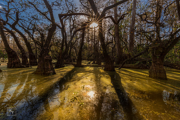 Big Cypress National Preserve