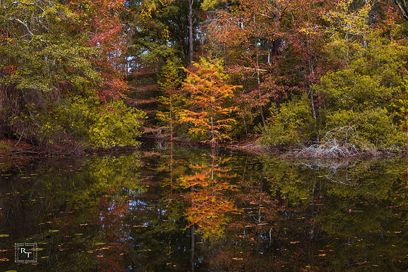 Northern Georgia