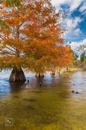 Lake Eufaula - Georgia Side