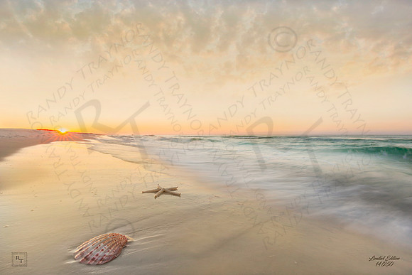 Gulf Islands National Seashore - Limited Edition print