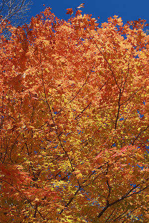 Ohio