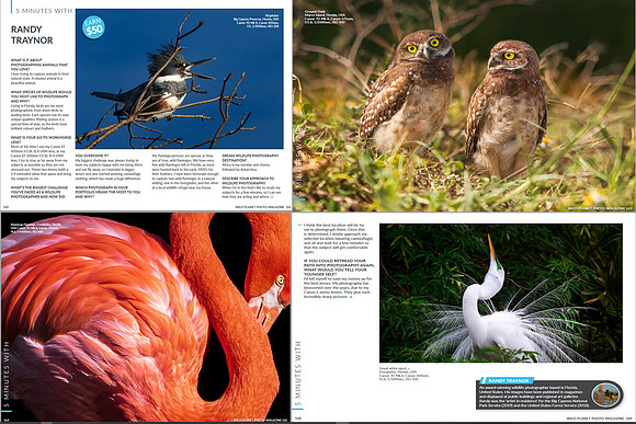 Wild Planet Magazine February 2020 - feature story