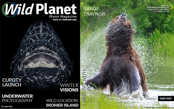 Wild Planet Magazine February 2020 - feature story part 1