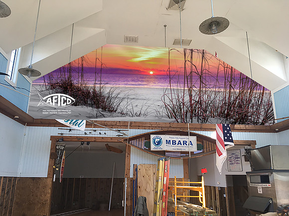 Mexico Beach, Florida  My 35 x 18 foot picture