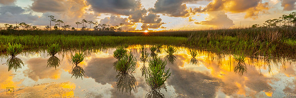 St. Marks National Wildlife Refuge, Florida - *Contact for price