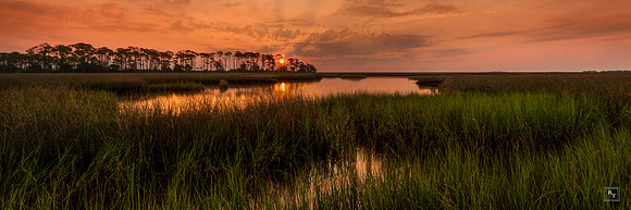 St. Marks National Wildlife Refuge, Florida - *Contact for price