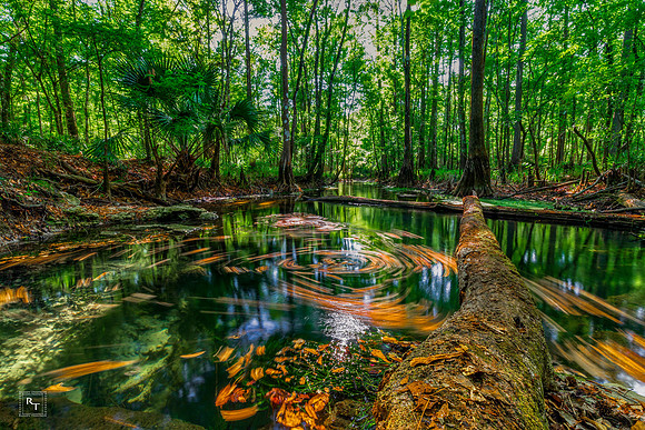 Leon County