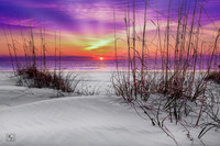 Cape San Blas, Florida