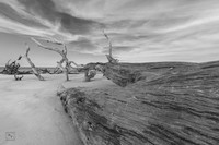 Big Talbot Island State Park