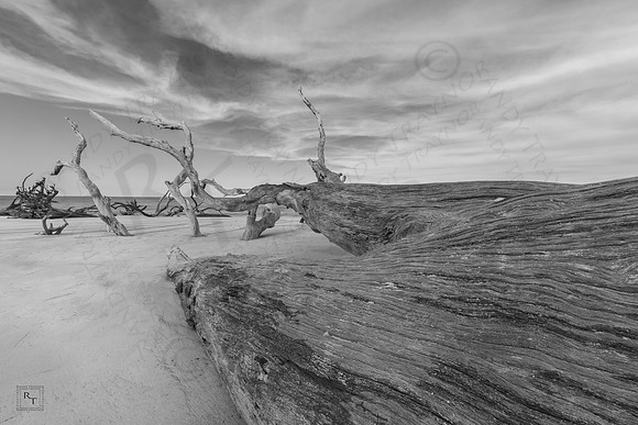 Big Talbot Island State Park