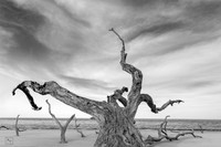Big Talbot Island State Park