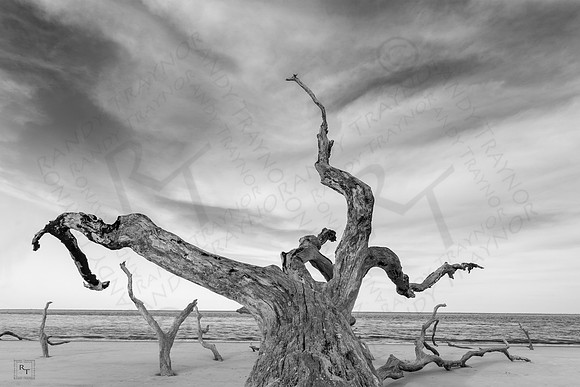 Big Talbot Island State Park