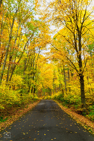 Raccoon Creek State Park, Pensylvania