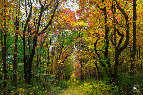 West Virginia backroads