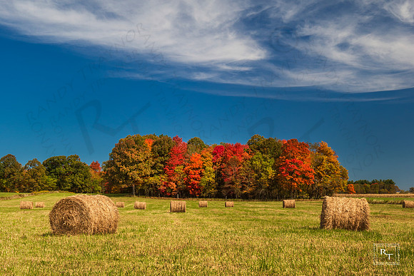 Maryland countryside