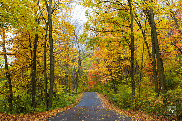 West Virginia backroads