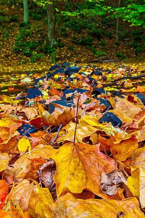 Jefferson Lake State Park, Ohio