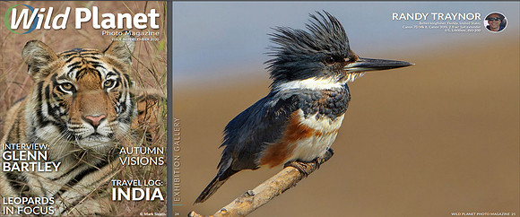 Wild Planet Magazine - December 2020