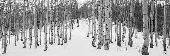 Utah