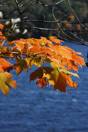 Wisconsin