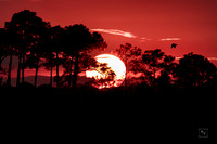 Sunsets - Sunrises