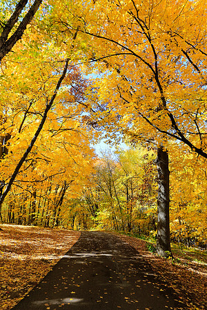 Minnesota