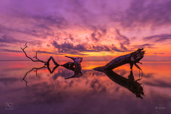 Golden Hour - Limited Edition print