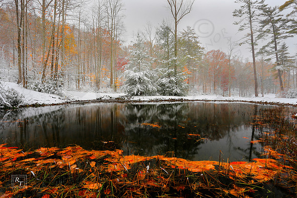 North Carolina