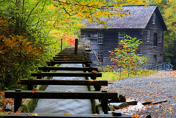 Smoky Mountain NP