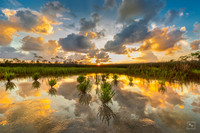 St. Marks National Wildlife Refuge